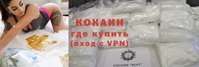 купить наркотики сайты  Подпорожье  COCAIN Эквадор 